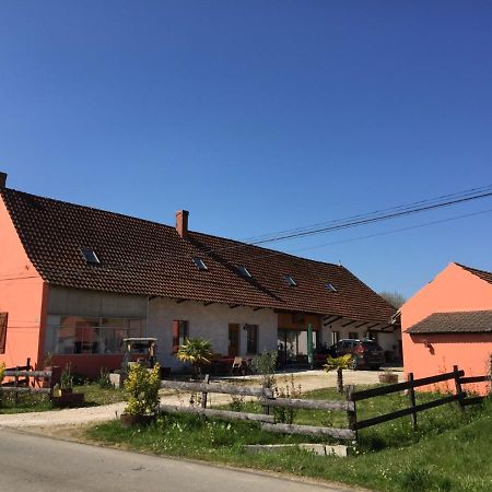 Gite Chez Marcel Et Bea La Chapelle-Saint-Sauveur  Екстериор снимка